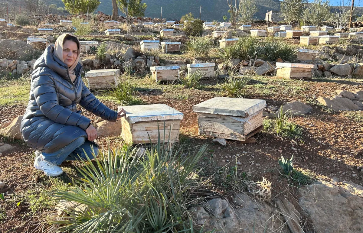 Honey Kit 300