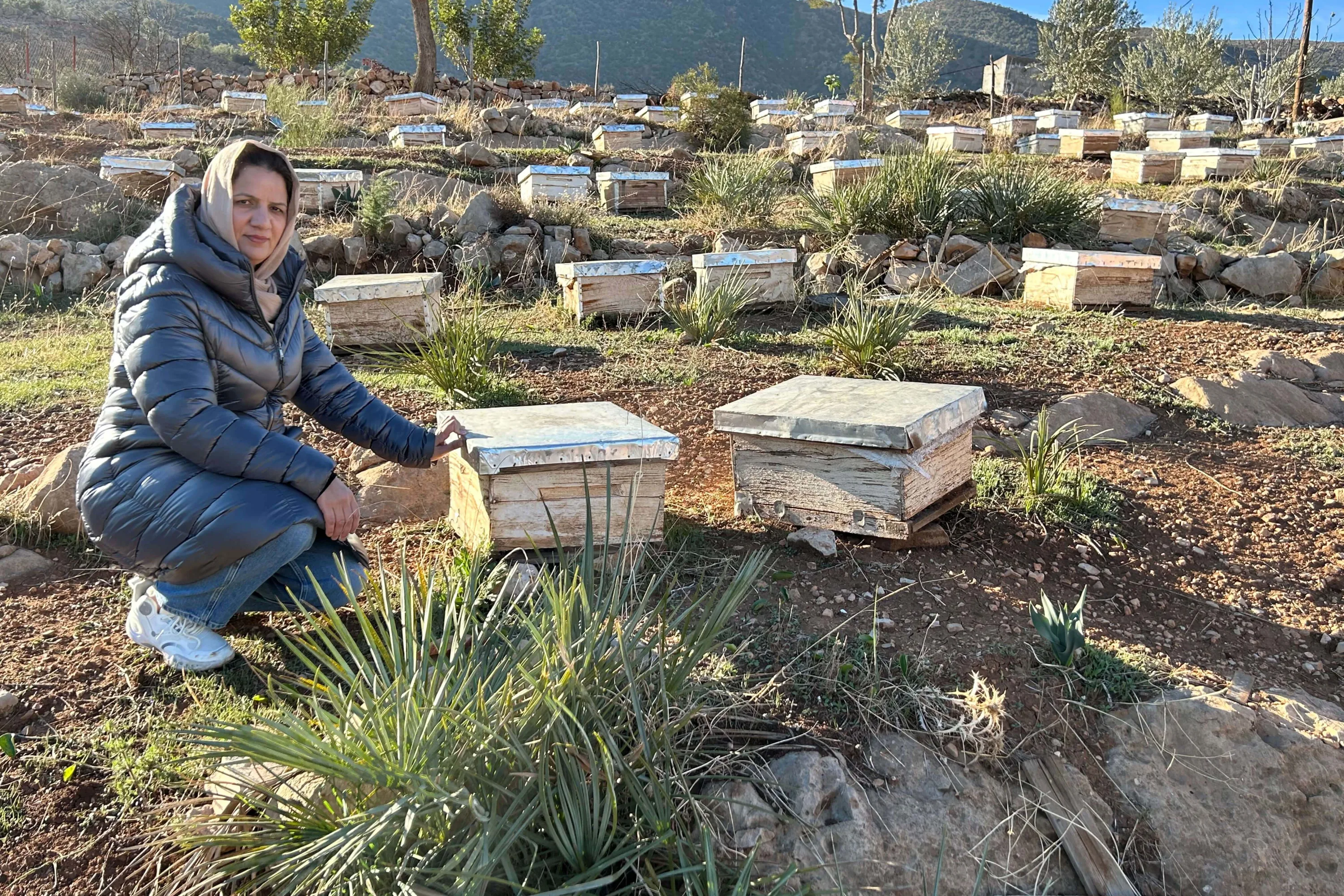 Woman kneeling beside wooden beehive boxes on a hillside apiary